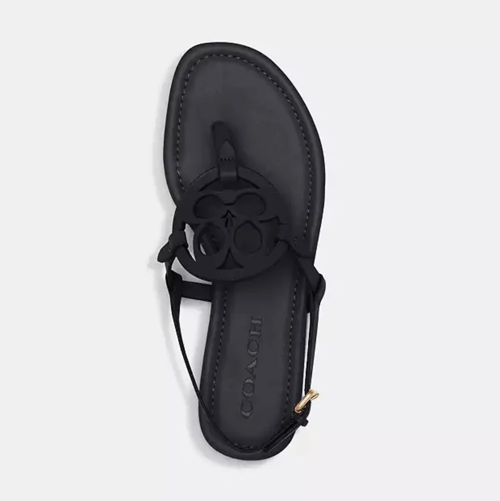 Coach Jaci Sandals - Picture 3 of 14